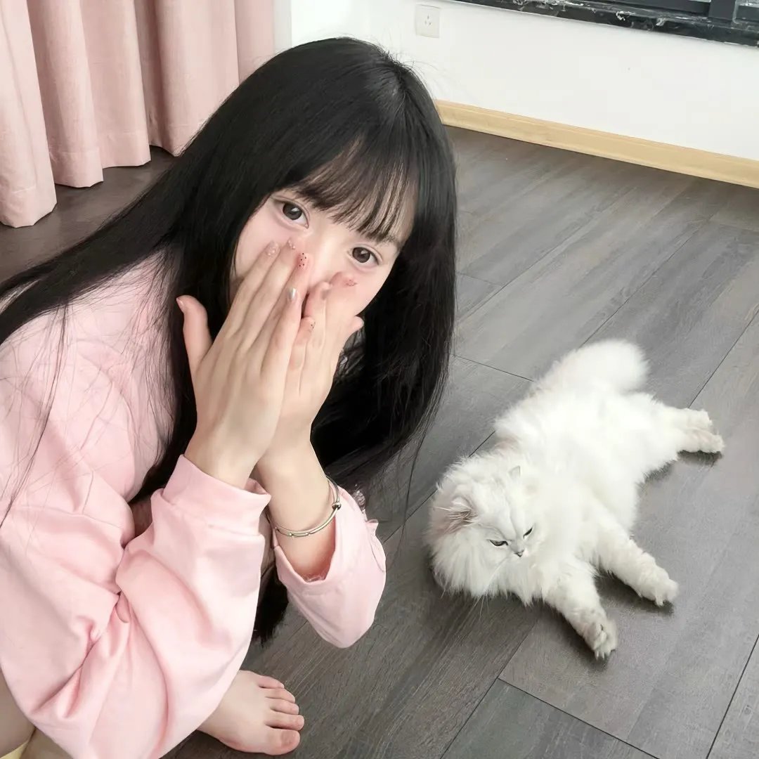 晚酌的流派2