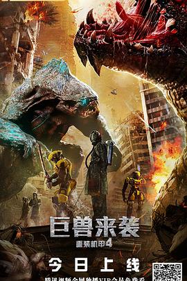 自由，平等，友谊-足球 封面图